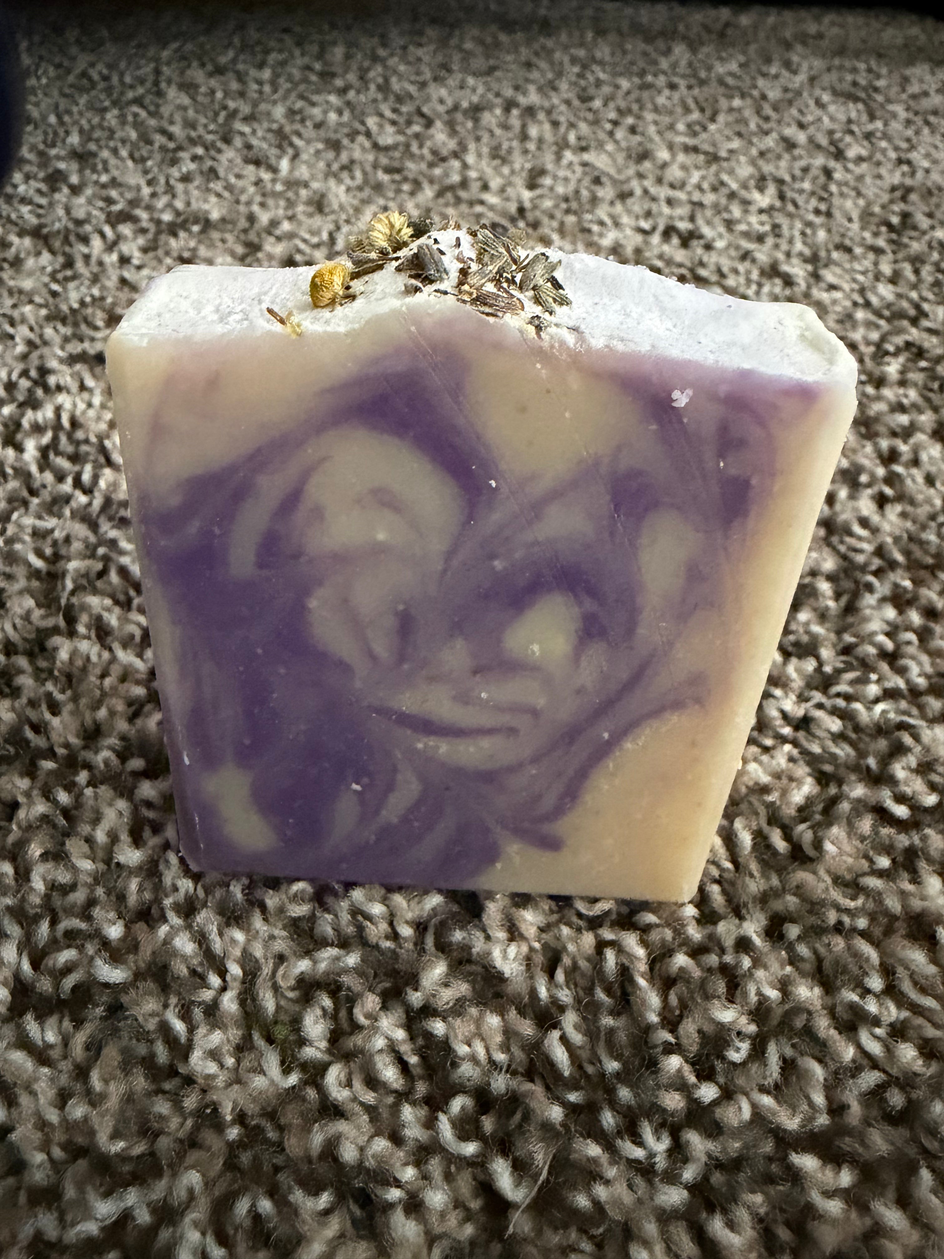 Chamomile Dreams with Probiotics